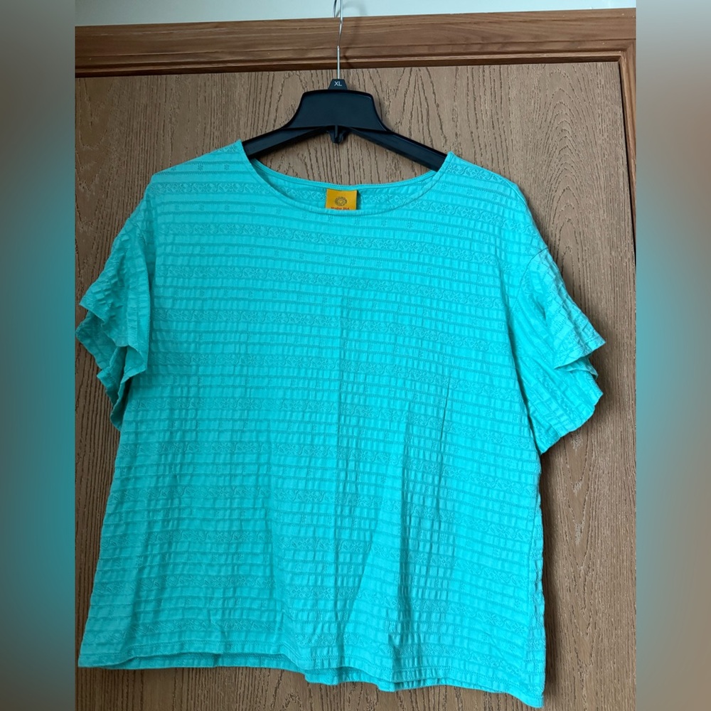 🔥Ruby Rd. Aqua Short Sleeve Top with Flutter Sleeves